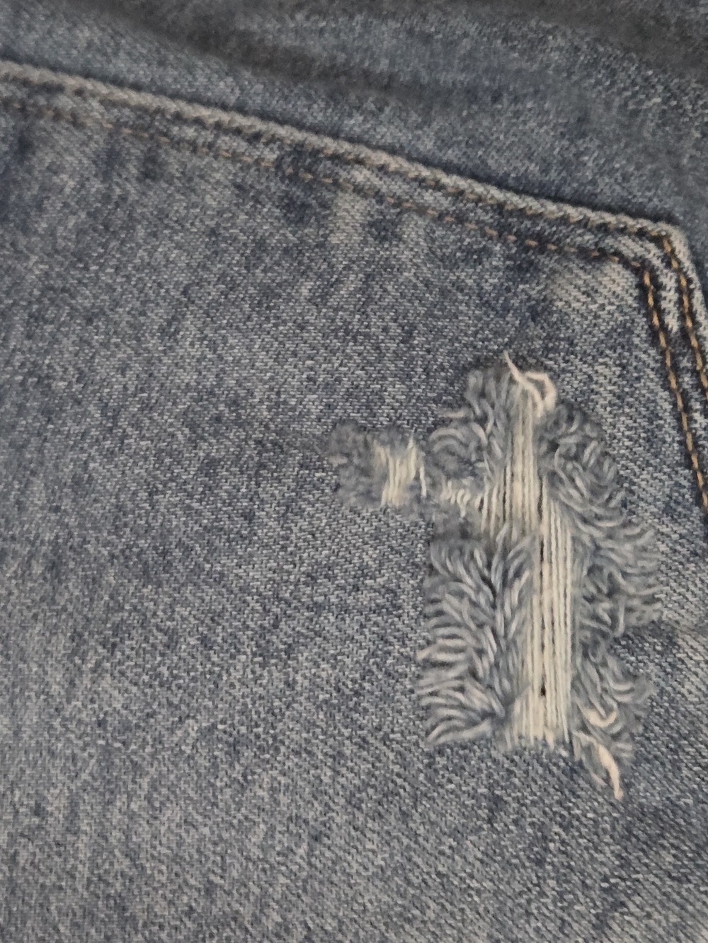 Remi Ripped Jeans (Petite) - Picture 8 of 11
